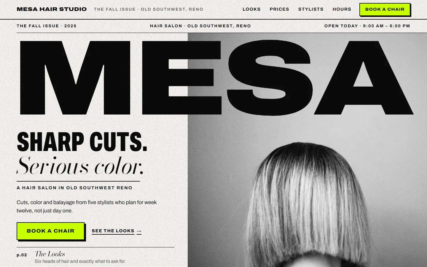 Mesa Hair Studio on a laptop